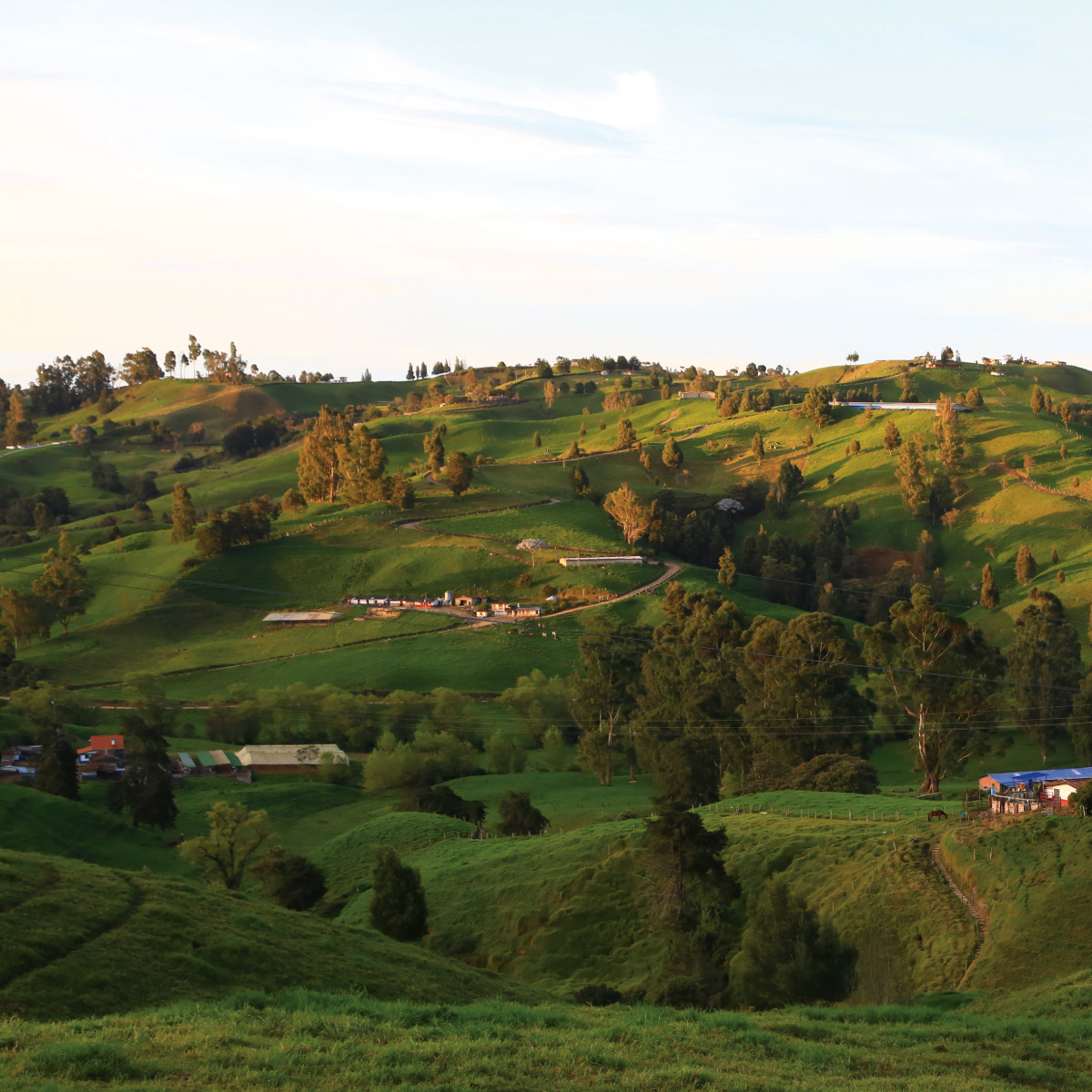 Paisaje natural del Norte de Antioquia.